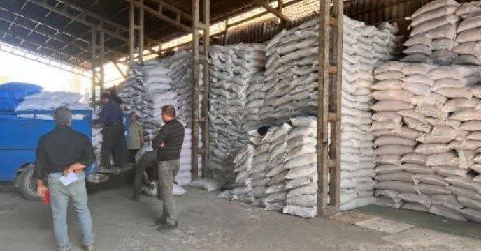 توزیع و ارسال میزان 200تن کود سوپرفسفات تریپل به کشاورزان شهرستان ری