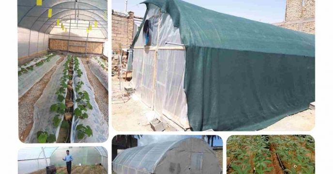مجوز احداث هشت هزارو906 متر مربع گلخانه کوچک مقیاس در شهرستان فسا استان فارس صادر شده است