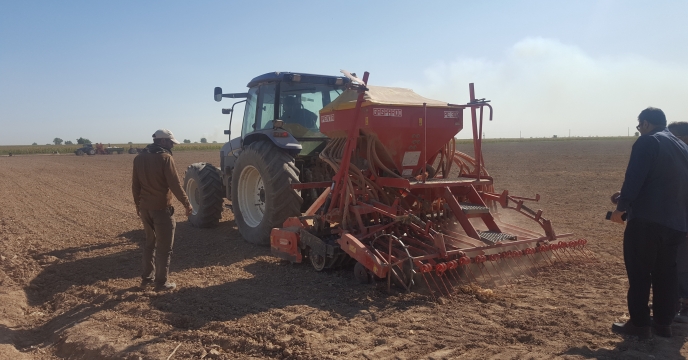 اجرای مرحله کاشت مزرعه  منتخب طرح الگویی پایلوت تغذیه گیاهی استان خوزستان
