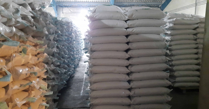 نمونه برداری78 تن از بذرهای برنج پروسس شده توسط نماینده موسسه تحقیقات اصلاح بذر و نهال 