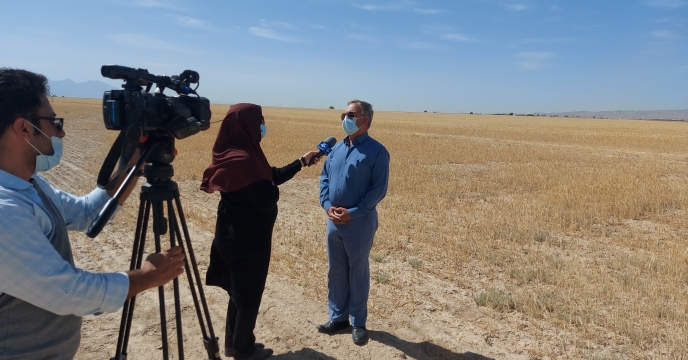 مصاحبه مدیر شرکت خدمات حمایتی کشاورزی استان بوشهر با صدا و سیمای مرکز بوشهر