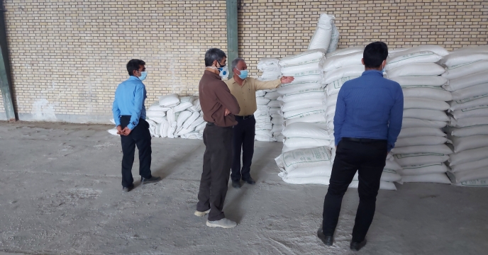بازدید مدیر شرکت خدمات حمایتی کشاورزی استان بوشهر از انبار سازمانی بنداروز