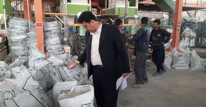 تامین 600 تن سوپرفسفات تریپل کیمیاداران برای شرکت خدمات حمایتی کشاورزی استان بوشهر