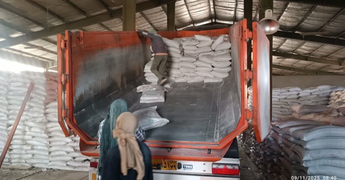 توزیع میزان 100  تن کود اوره در بین کشاورزان شهرستان شهریار طی هفته اول و دوم آبان ماه