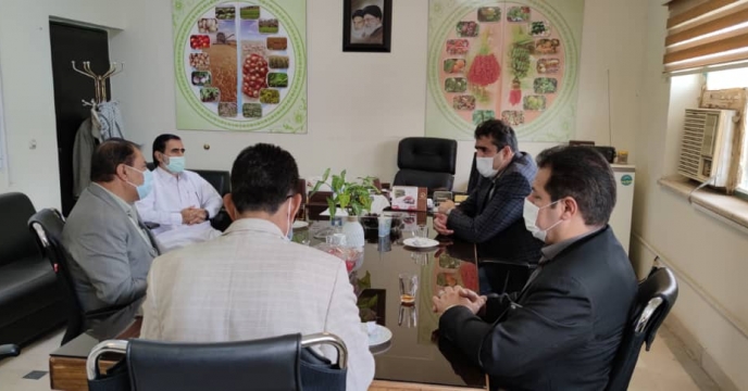 بازدید مدیر فنی و بهبود کیفیت بذر و نهال شرکت خدمات حمایتی از استان سیستان و بلوچستان