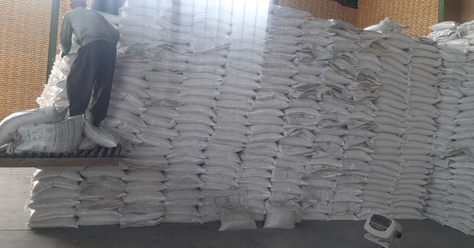 تامین و توزیع  بیش از 2160تن انواع کودهای کشاورزی طی ده ماهه سال1404 در بین کشاورزان شهرستان پاکدشت 