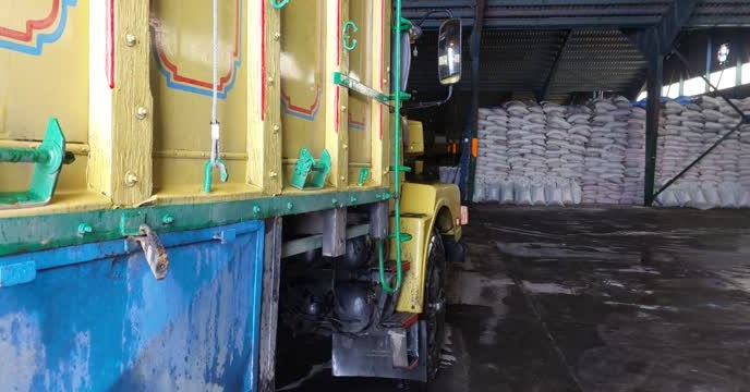 توزیع بیش از 590 تن کود کلرورپتاسیم گرانوله توسط کارگزاران شرکت خدمات حمایتی کشاورزی استان گیلان 