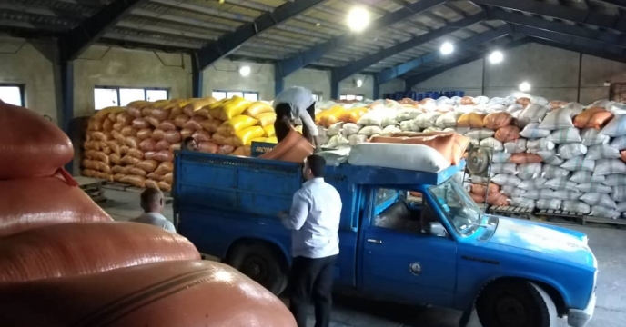  تحویل 250 تن بذر گواهی شده و مادری به انبار سازمانی بذر استان گیلان