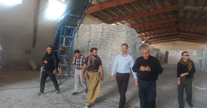 بازدید مدیر شرکت خدمات حمایتی کشاورزی استان ایلام از انبار سازمانی مهران در هفته دولت