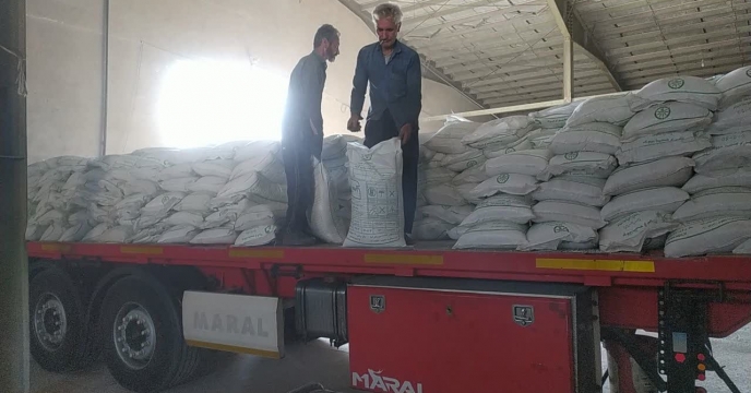 کبودرآهنگ، تکیه‌گاه تولید محصولات راهبردی با تامین به‌موقع کود کشاورزی