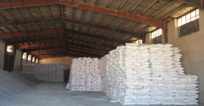 میزان 150 تن کود کشاورزی سولفات پتاسیم گرانوله بین کشاورزان شهرستان هلیلان توزیع شد