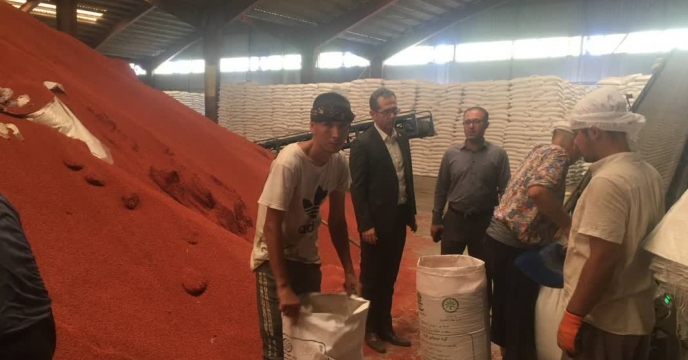 بازدیدهای مستمر از انبارها برای رصد به موقع کود و اندازه نیاز روزانه کود پتاسه