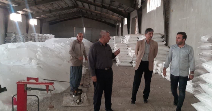 بازدید مدیر شرکت خدمات حمایتی کشاورزی استان ایلام از انبار سازمانی مهران