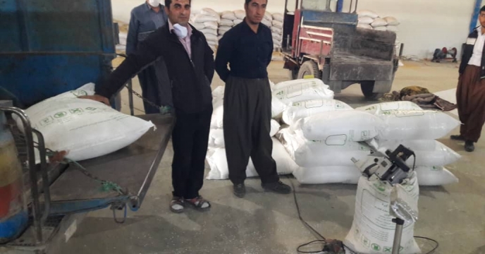 کیسه گیری 400 تن کود اوره فله در شهرستان مهاباد