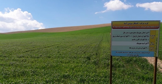بازدید از طرح پایلوت تغذیه گندم در استان آذربایجان غربی