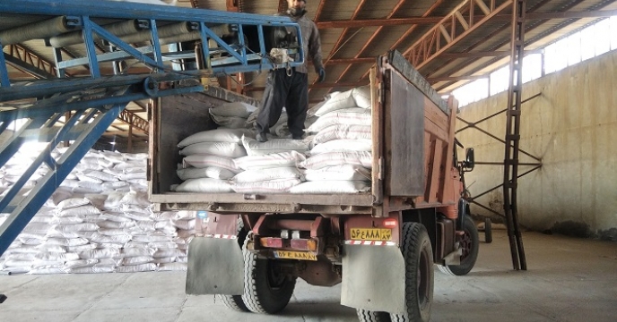 تامین و توزیع یک هزار و 716 تن کود کشاورزی اوره در استان زنجان بر اساس برش کود 