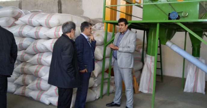 بازدید مدیر فنی و بهبود کیفیت بذر ونهال کارخانه  بذربرنج  استان گیلان 