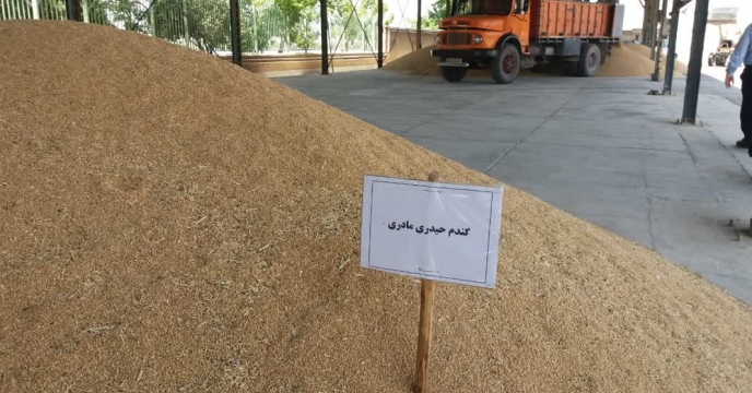 بازدید  از سایت بوجاری شرکت خدمات حمایتی کشاورزی استان چهارمحال وبختیاری