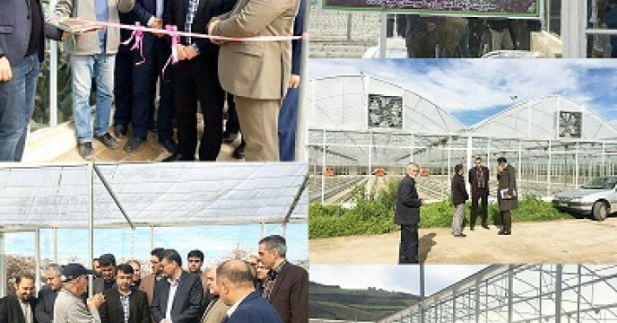 افتتاح اولین گلخانه هیورپونیک زمین گرمایی در مینودشت گلستان