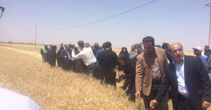 برگزاری روز مزرعه در استان البرز