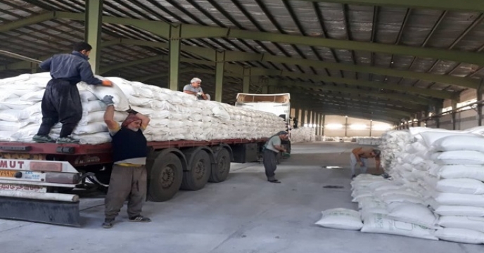 تامین و توزیع 2520 تن کود کشاورزی سولفات پتاسیم در مازندران