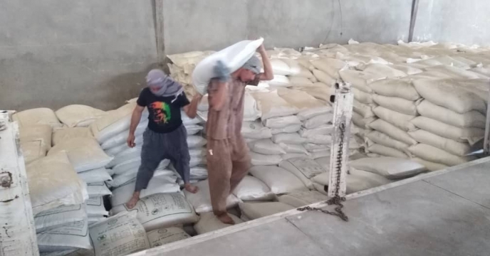 تأمین انواع کود شیمیایی از انبار سازمانی کود در شهر آبپخش شهرستان دشتستان