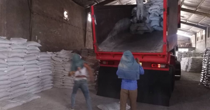 تخلیه ۲۵ تن کود شیمیایی سوپر فسفات تریپل در انبار سازمانی کود برازجان شهرستان دشتستان