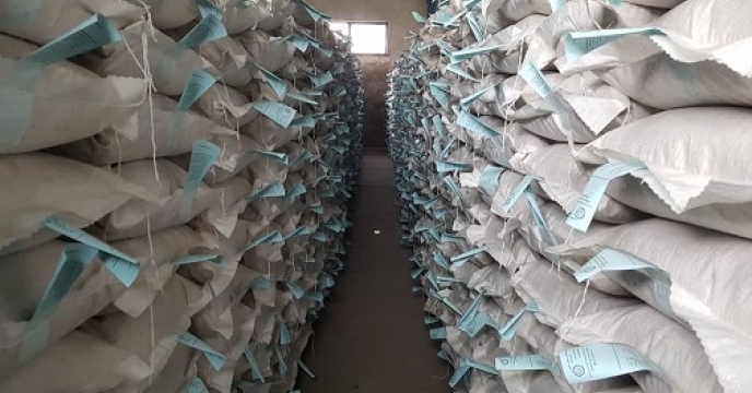 نمونه برداری75 تن از بذرهای برنج پروسس شده توسط نماینده موسسه تحقیقات اصلاح بذر و نهال 