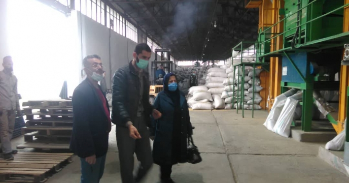 بازید و سرکشی معاون مالی اداری و بازرگانی از اموال سازمانی شرکت خدمات حمایتی کشاورزی استان گیلان