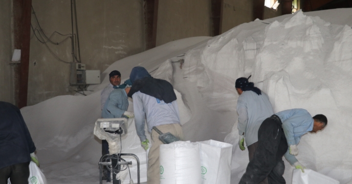 تامین و توزیع بیش از 700 تن انواع کودهای شیمیایی یارانه ای به شهرستان ماکو