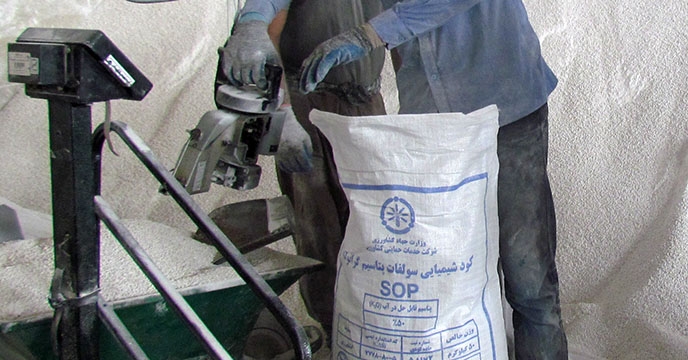 کیسه گیری کود شیمیایی سولفات پتاسیم در شرکت خدمات حمایتی کشاورزی استان همدان