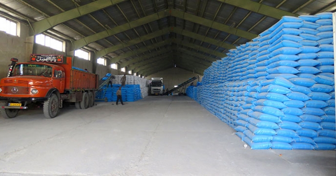 تخلیه حدود 1400 تن کود شیمیائی ازته در انبارهای شرکت خدمات حمایتی کشاورزی استان همدان،