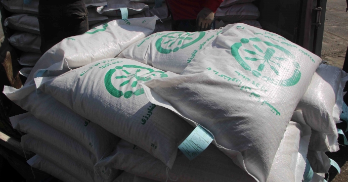 توزیع بذر برنج رقم خزر گواهی شده در فروردین ماه شهرستان شفت استان گیلان