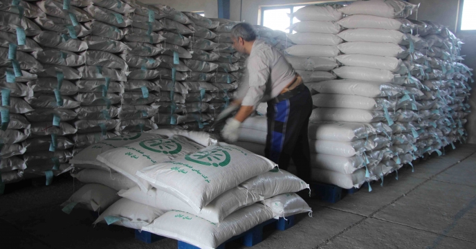 توزیع بذر برنج رقم خزر گواهی شده در فروردین ماه شهرستان فومن استان گیلان
