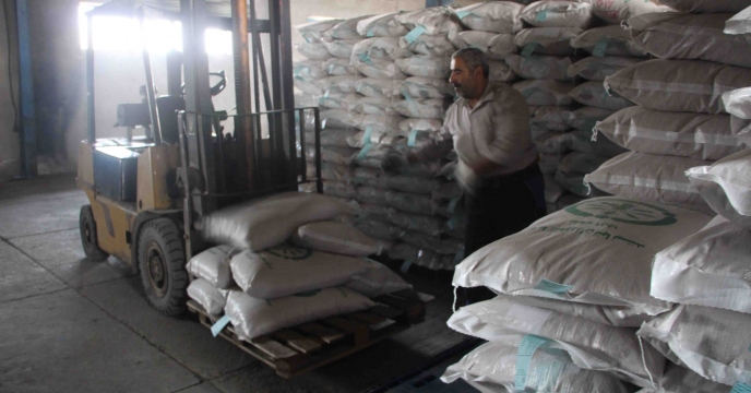 تخصیص بذر برنج رقم هاشمی گواهی شده با تایید موسسه ثبت گواهی بذر