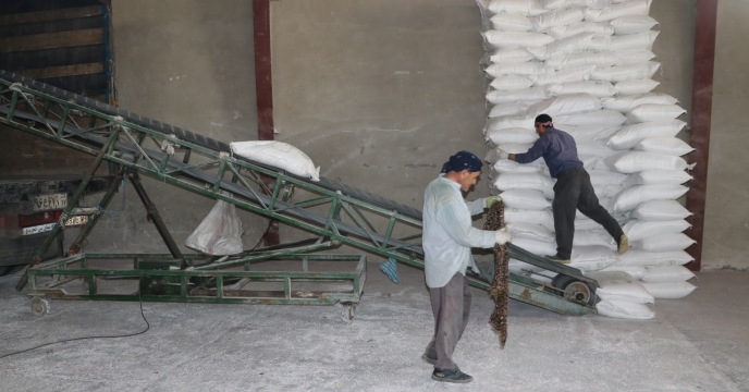 توزیع 470 تن کود کشاورزی در شهرستان اشنویه استان آذربایجان غربی