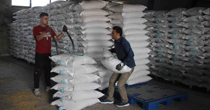 تخصیص 13/5 تن بذر اصلاح و گواهی شده برنج رقم هاشمی برای شهرستان بندرانزلی