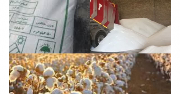 توزیع بیش ازیک‌هزارو۳۹۰ تن انواع کود کشاورزی یارانه ای برای مصرف‌مزارع پنبه در چهار ماهه سال سال۱۴۰۴
