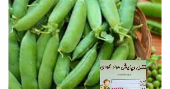توزیع مقدار ۲تن کود کشاورزی یارانه ای برای مزارع نخود فرنگی شهرستان  علی آباد کتول در پنج ماه سال جاری