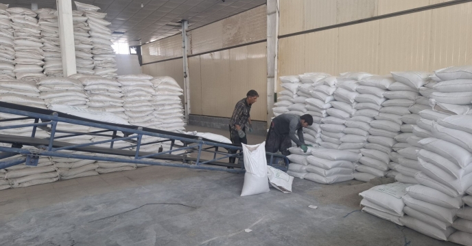 تامین ۱۹۵ تن کود کشاورزی برای جنوب کرمان؛ گامی دیگر در حمایت از تولیدکنندگان منطقه