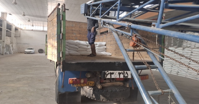 پشتیبانی هدفمند از کشاورزان جنوب کرمان؛ 445 تن انواع کود یارانه‌ای در راه مزارع