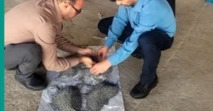 بازید کمیته کارگروه پایش کودی  از انبار کود شرکت مزرعه نمونه ارتش و کارگزاران کود شهرستان گرگان بازید کمیته کارگروه پایش کودی  از انبار کود شرکت مزرعه نمونه ارتش و کارگزاران کود شهرستان گرگان