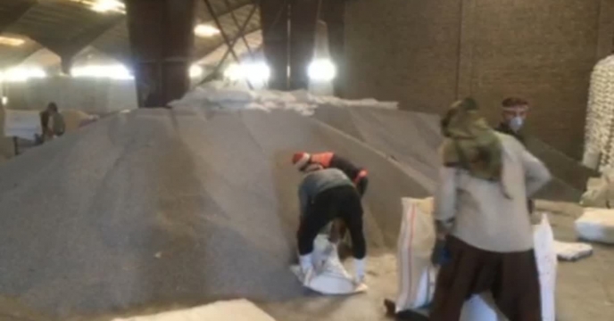 توزیع  مقدار۴ هزار و۱۹۶  تن انواع کود فسفات در هفت  ماه سال جاری