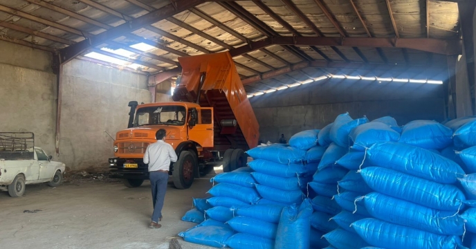  تامین و خرید 591 تن کود کشاورزی توسط شرکت خدمات حمایتی کشاورزی جنوب کرمان؛ گامی دیگر در حمایت از کشاورزان منطقه