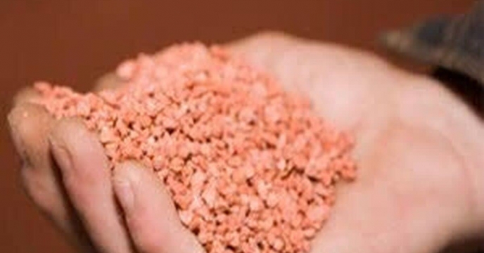 تحقق۱۰۵ درصدی تامین کود پناسه در استان گلستان