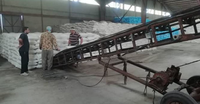 بهبود کیفیت و کمیت ‌محصولات زراعی و‌باغی با ارسال  ۲ هزارو۷۴۹  تن انواع کود کشاورزی یارانه ای به شهرستان  کردکوی