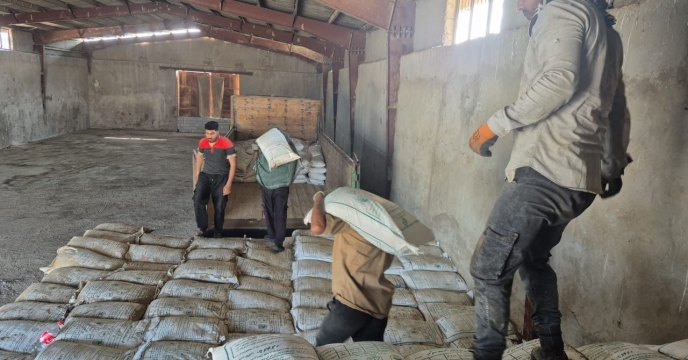  صدور تعداد 5709 فقره حواله الکترونیکی کود یارانه‌ای برای کشت گندم و جو در شهرستان رودبار جنوب