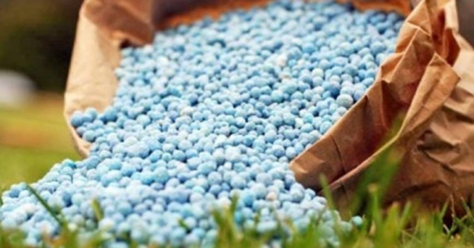 توزیع 150 تن انواع نهاده های کشاورزی به کلیه کارگزاریهای شهرستان ورزنه