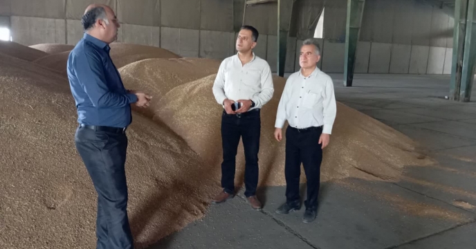 بازدید کارشناسان موسسه تحقیقات ثبت و گواهی بذر و نهال استان از وضعیت خرید بذر گندم