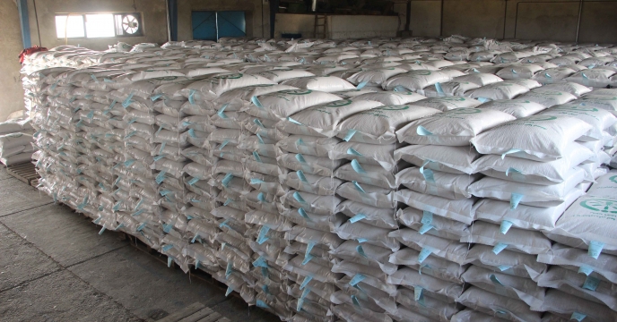  بوجاری وپارت چینی610تن از بذرهای خام خریداری شده برنج( شلتوک) در سایت بذرگیلان